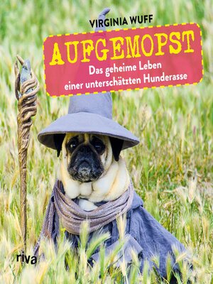 cover image of Aufgemopst
